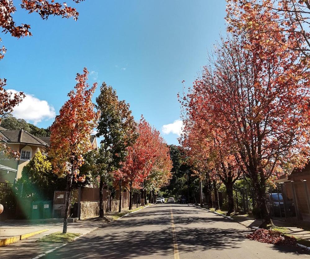 Suite Em Gramado, Proxima A Avenida Das Hortencias Eksteriør billede